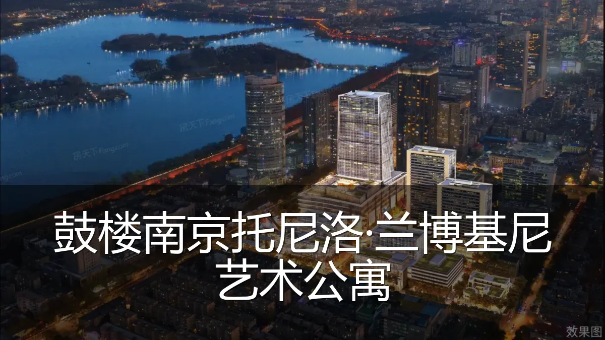 鼓楼南京托尼洛·兰博基尼艺术公寓